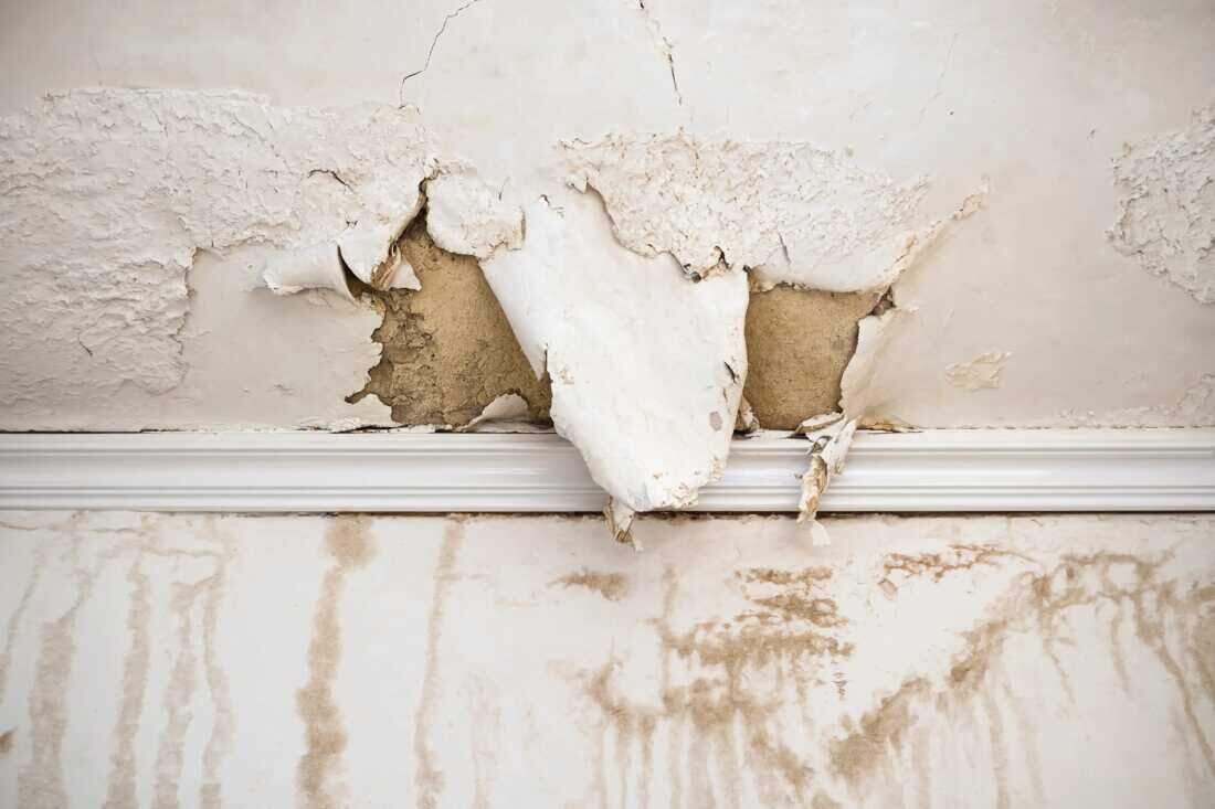 A water-damaged, peeling ceiling from a Brooklyn roof leak