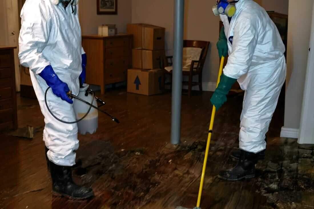 Technicians cleaning and disinfecting after a sewage backup in Brooklyn